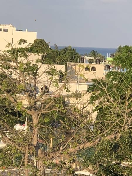 40 20 Apartamento Playa del Carmen